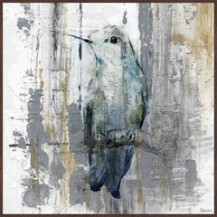 Perching Grey