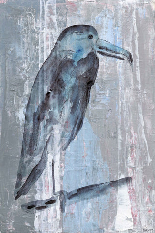 Blue-Grey Bird
