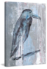 Blue-Grey Bird