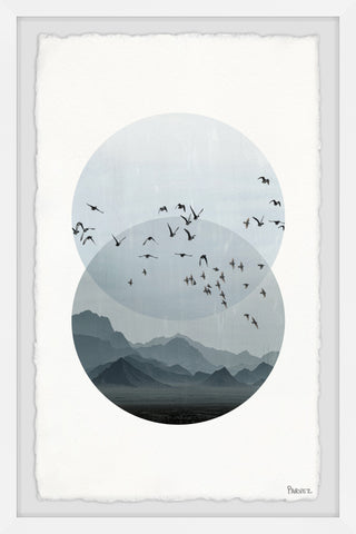 Circle Birds