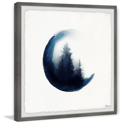 Clouded Forest