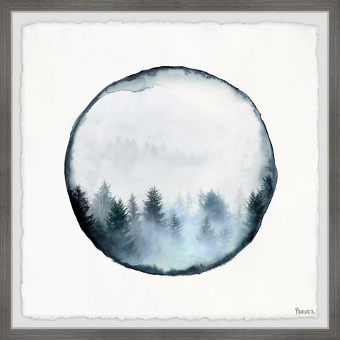 Rounded Foggy Forest