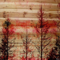 Red Enchanted Forest