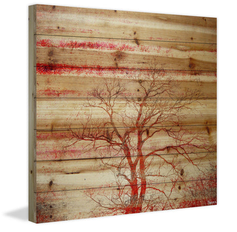 Red Branches