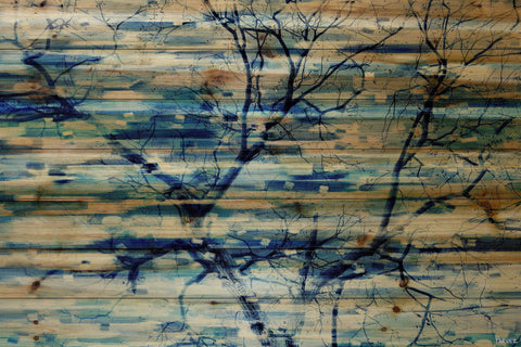 Trees in Blue