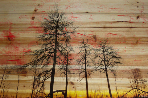 Tree Skeletons