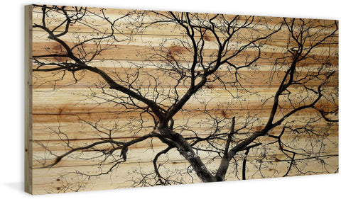 Branching Out