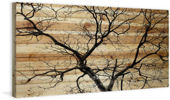 Branching Out