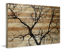 Branching Out III