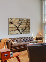 Branching Out III