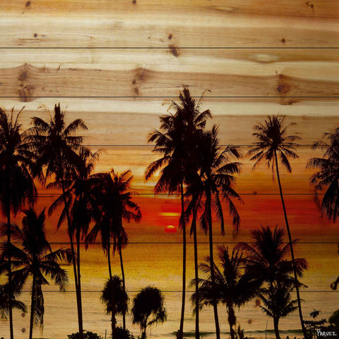 Sunset Palms