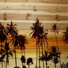 Palms in the Sun