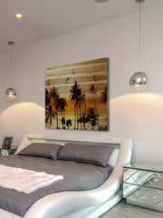 Palms in the Sun