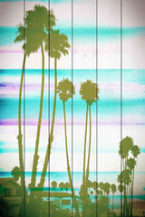 Rainbow Through the Palms