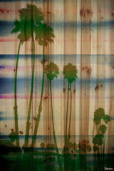 Palm Rainbows