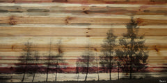 Forest of Firs