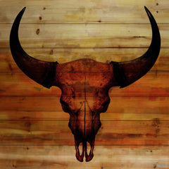 Burnt Sienna Skull