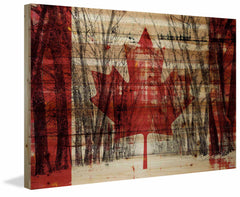 Dark Red Leaf