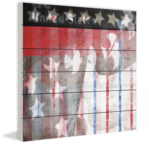 Patriotic Birds