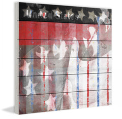 Patriotic Birds