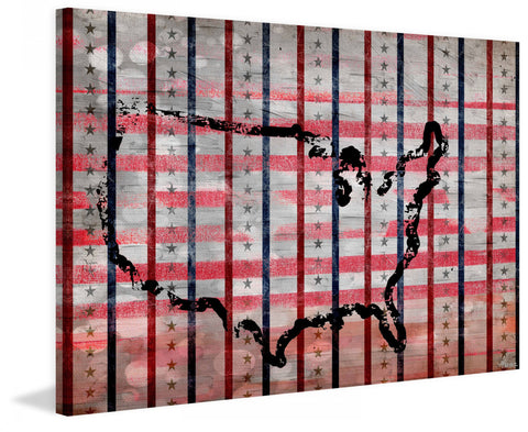 USA Outline