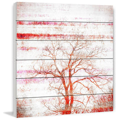 Orange Tree