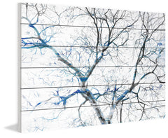 Blue Branches
