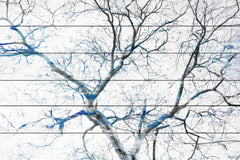 Blue Branches