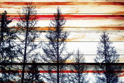 Red Striped Sky
