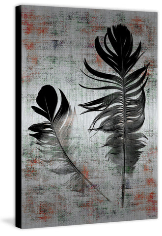Black Feathers