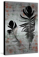 Black Feathers