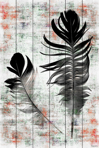 Black Feathers