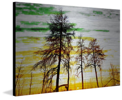 Green and Gold Sky