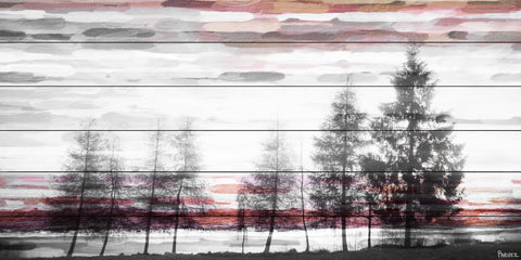 Red Behind the Trees