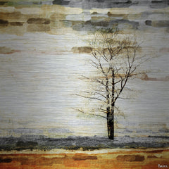 Lone Tree