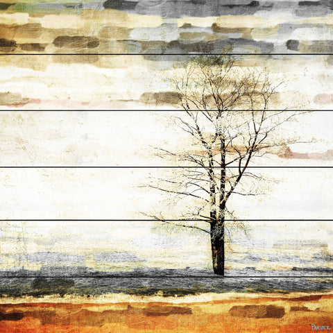 Lone Tree