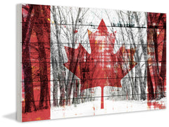 Canadian Rows of Trees