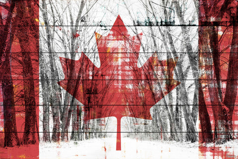 Canadian Rows of Trees