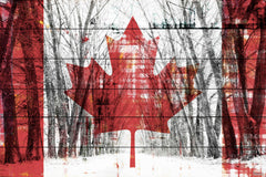 Canadian Rows of Trees
