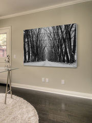 Rows of Trees