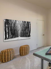 Rows of Trees