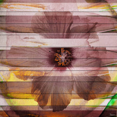 Mauve Petals