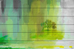 Green Meadows