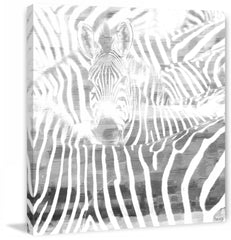 Zebra Stare