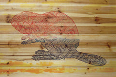 Beaver