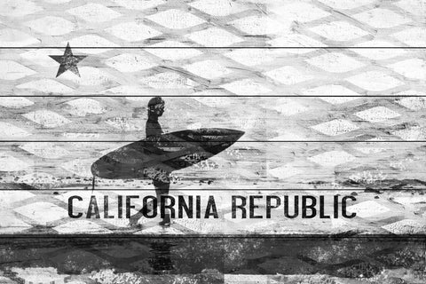 The Republic