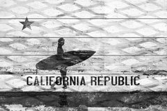 The Republic