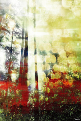 Tree Light