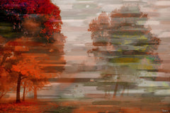 Fall Red