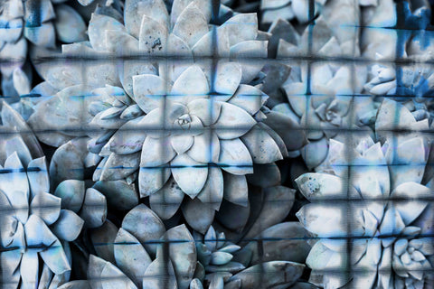 White Floral Grid